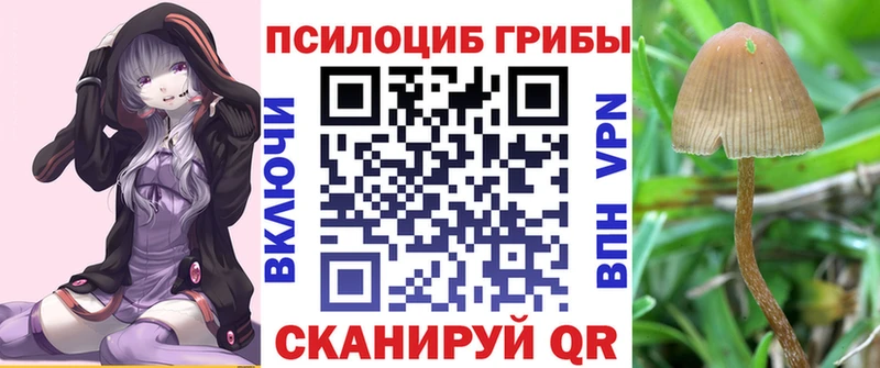 Галлюциногенные грибы мухоморы  где купить наркоту  Котово 